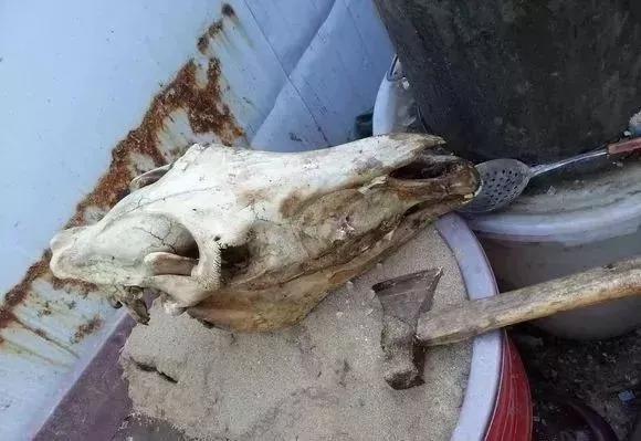 稀有老物件骨头手串,马骨头手串