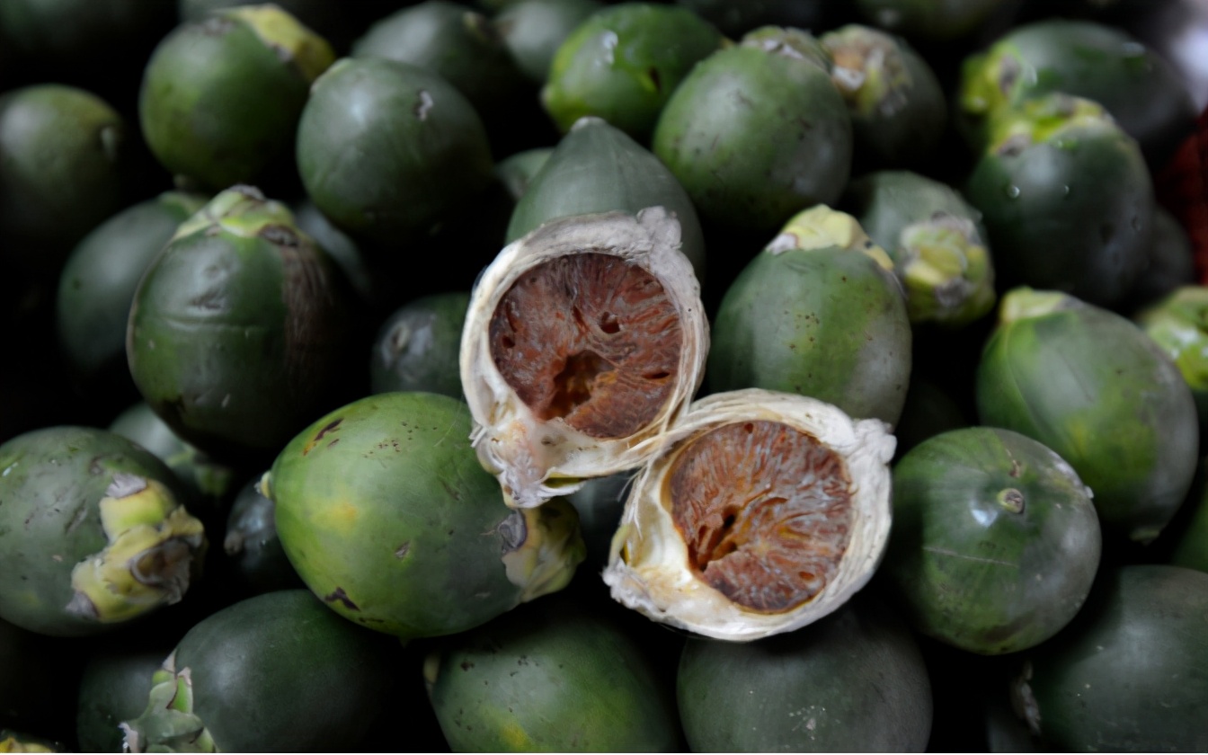 为什么吃了槟榔会有头晕的感觉,槟榔为什么会提神醒脑