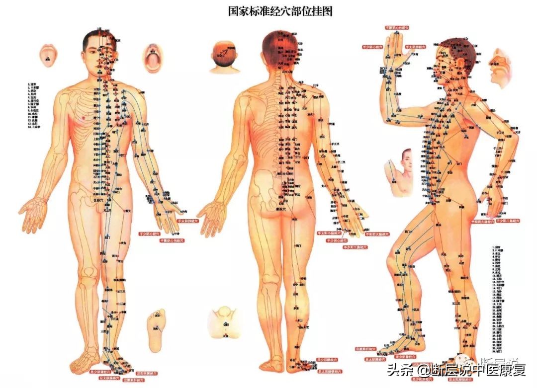 女性盆底健康问题,针刺要扎三阴交,手法要选内收肌