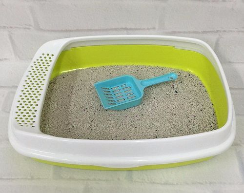 猫咪总是吃猫砂怎么解决,为什么猫咪吃猫砂