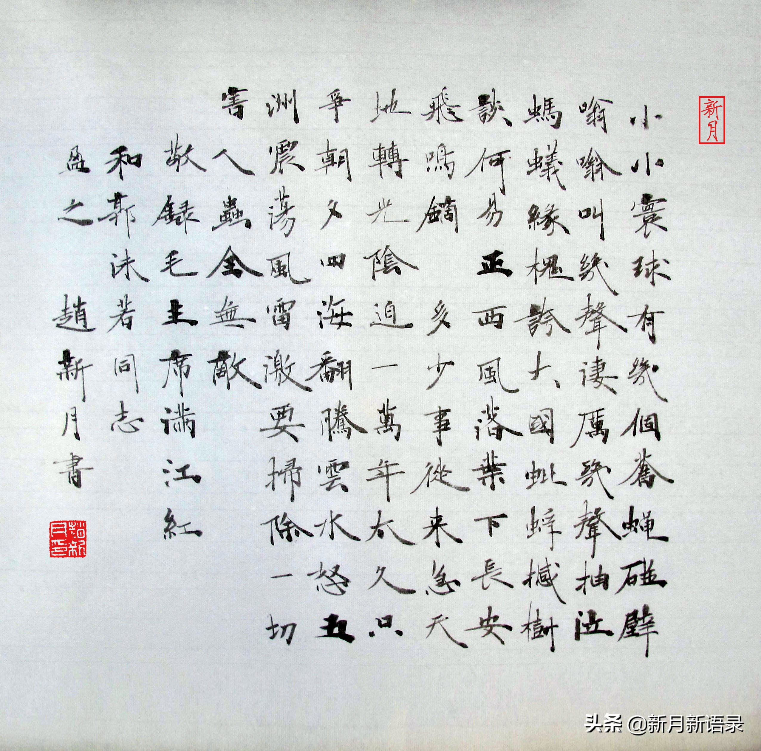 毛主席《满江红》说的“几只苍蝇”指谁？丨赵新月新解毛主席诗词