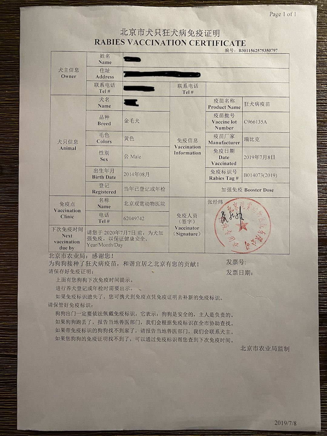 带狗狗移民,怎样带自家狗狗去国外