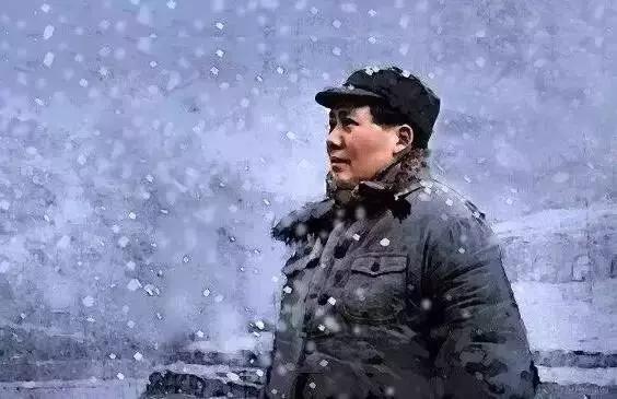 毛*东泽**为这本书留下了大量批语