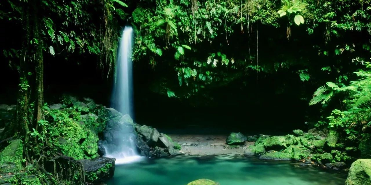 2019中国护照最新免签、落地签攻略，拎包就走！（上篇）