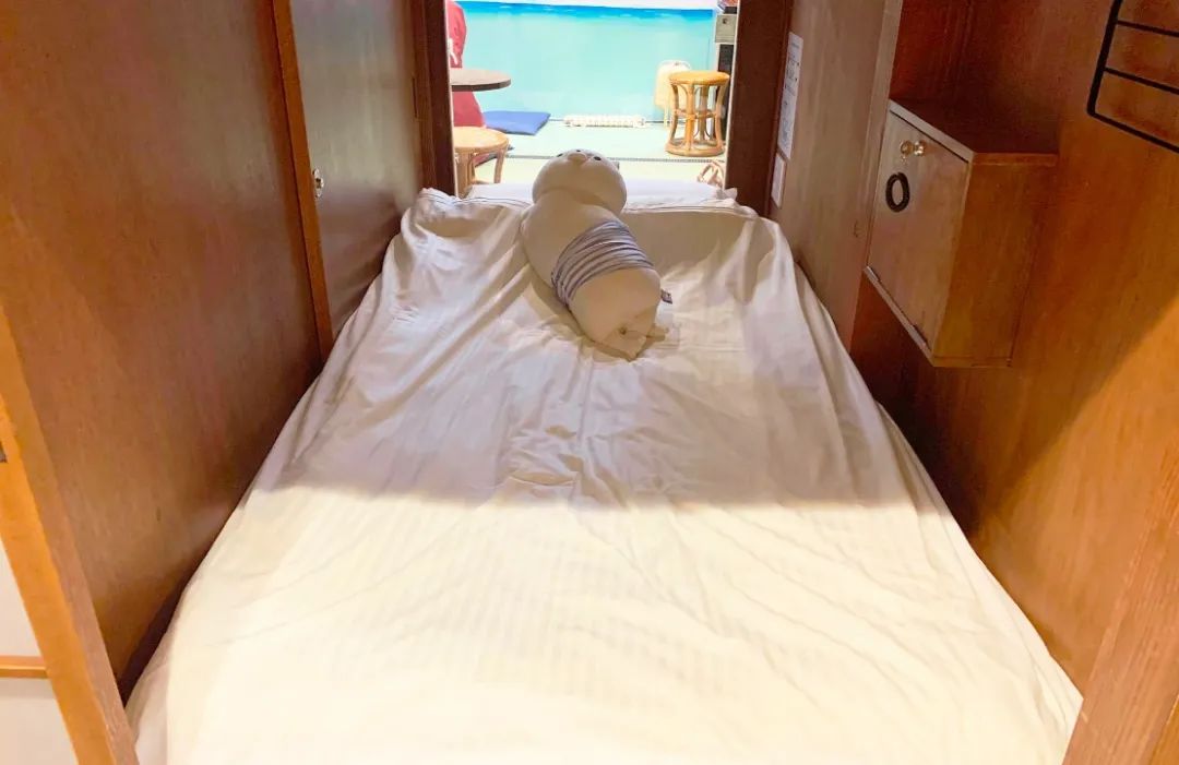 猫咖是不是会收留真猫咪打工,猫咪去猫咖打工是真的吗