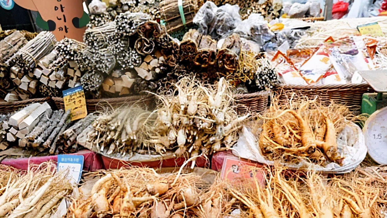 中国人参韩国人包装成高丽参,高丽参和人参的差别是什么