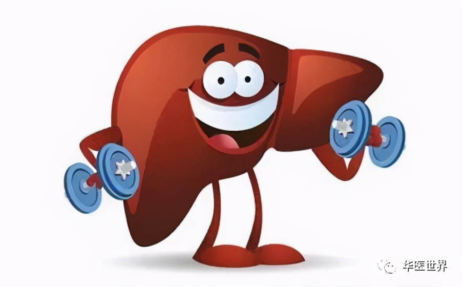 秦伯未中医学习资料,秦伯未医术