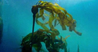 宝宝沐浴露哪个牌子好用,宝宝保湿效果好的沐浴露