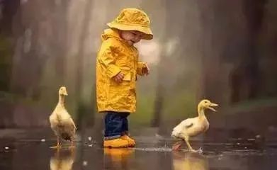 乐高说明书上教你看乐高零件,简单乐高说明书