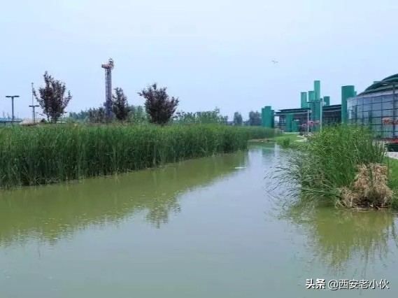 西安浐灞国家湿地公园招聘公告,西安浐灞国家湿地公园旅游