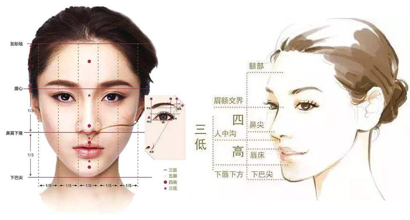 怎么样才算是美女呢？通过美学标准看看你是不是一位大美女