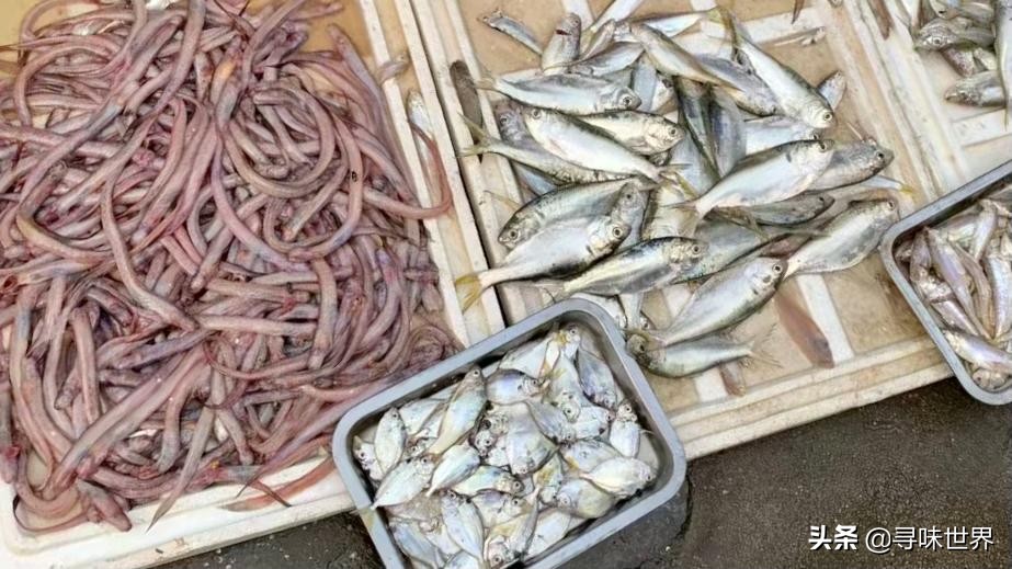 买鱼食内行人专买这十种纯海鱼,内行人就买这5种鱼