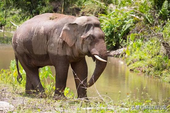泰国旅游秘籍攻略,泰国旅游攻略超详细