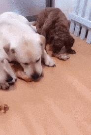 有趣的灵魂离不开完美的身材,有趣的灵魂需要好看的皮囊来搭配