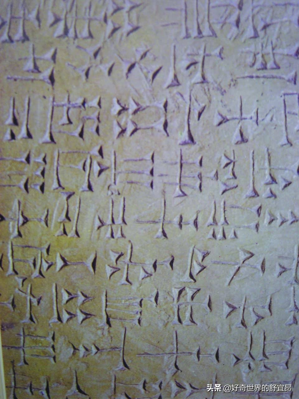 什么证据可以质疑进化论,人类起源进化论