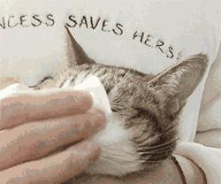 擦屁屁的正确姿势,新生婴儿擦屁屁正确姿势