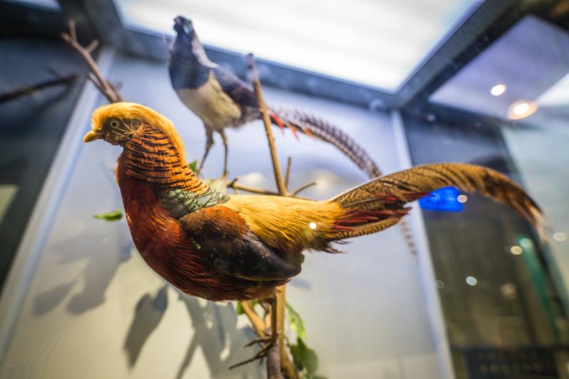 厦门冬春攻略,夏天厦门旅游攻略美食篇