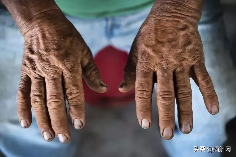 葡萄酒历史纪录片,十部顶级葡萄酒纪录片中英字幕