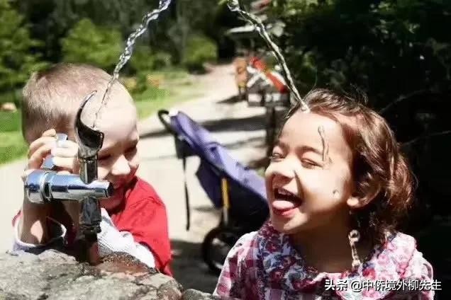 新西兰打工的正确认知,新西兰打工掌握的技能