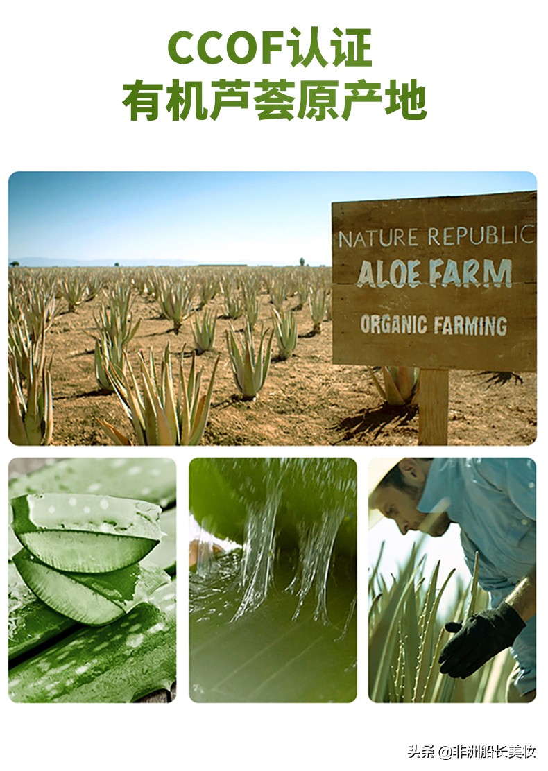 万能芦荟胶神奇功效,万能芦荟胶祛痘的方法