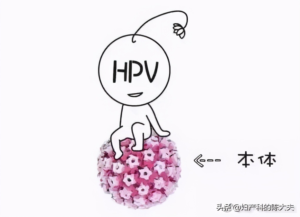 宫颈cin1级hpv跟tct都正常,宫颈cin级伴hpv感染怎么办
