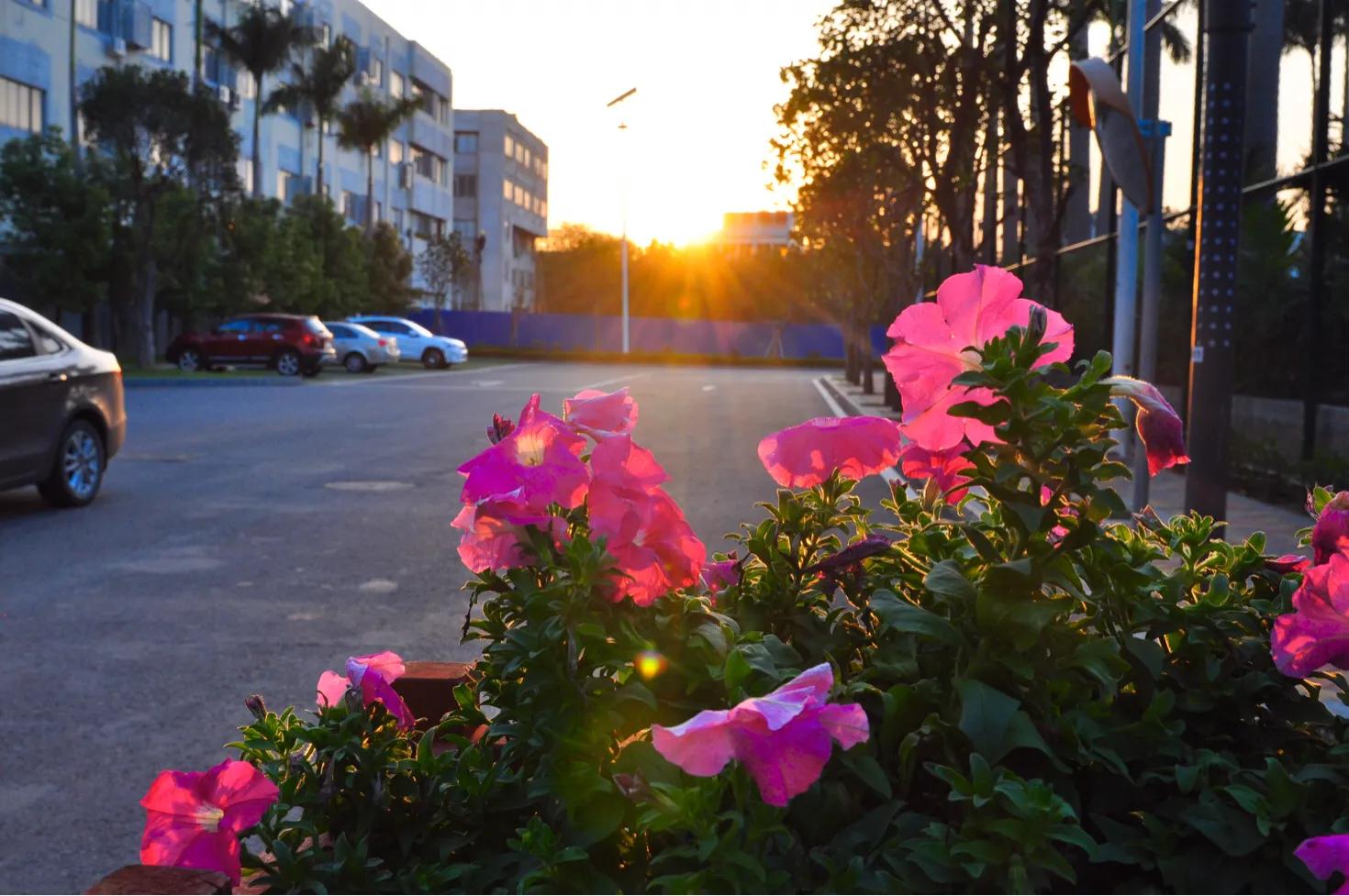 缇庣殑鍏ㄧ悆鍒涙柊涓績涓婄彮鏃堕棿,缇庣殑鍏ㄧ悆鍒涙柊涓績