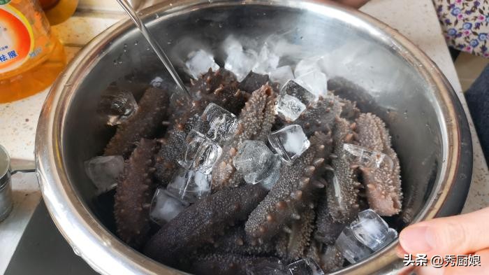 海参泡发的正确步骤和做法,这才是海参泡发的正确方法