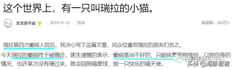 北京小公主靠吸猫血成百万大V,直播整容、大照骗、2年养死3只猫
