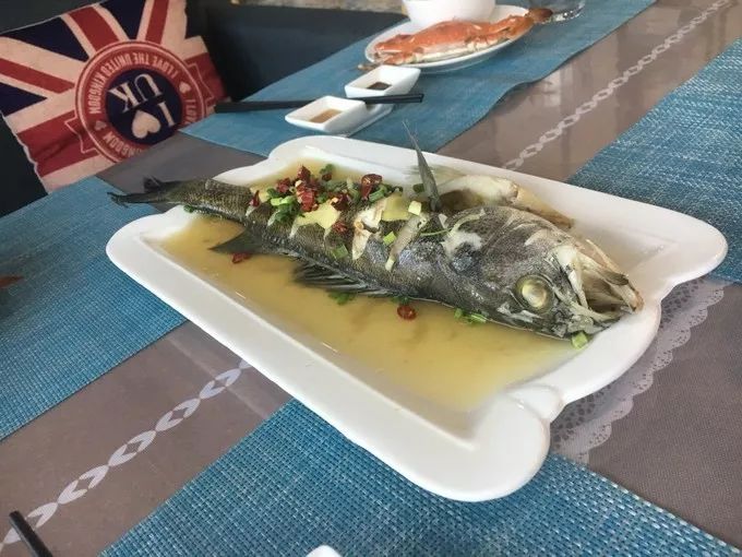 枸杞岛两天一夜最全旅游攻略,一生必去的枸杞岛