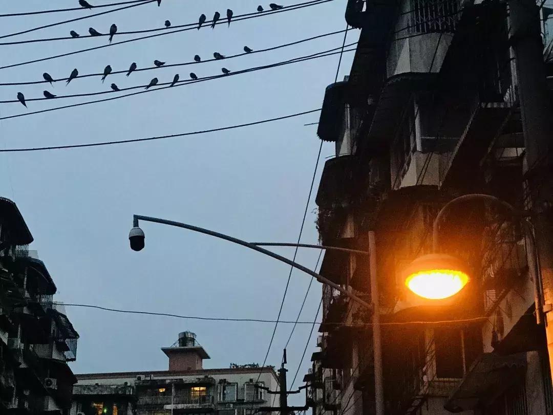 从钢管厂五区晃到莲花新区