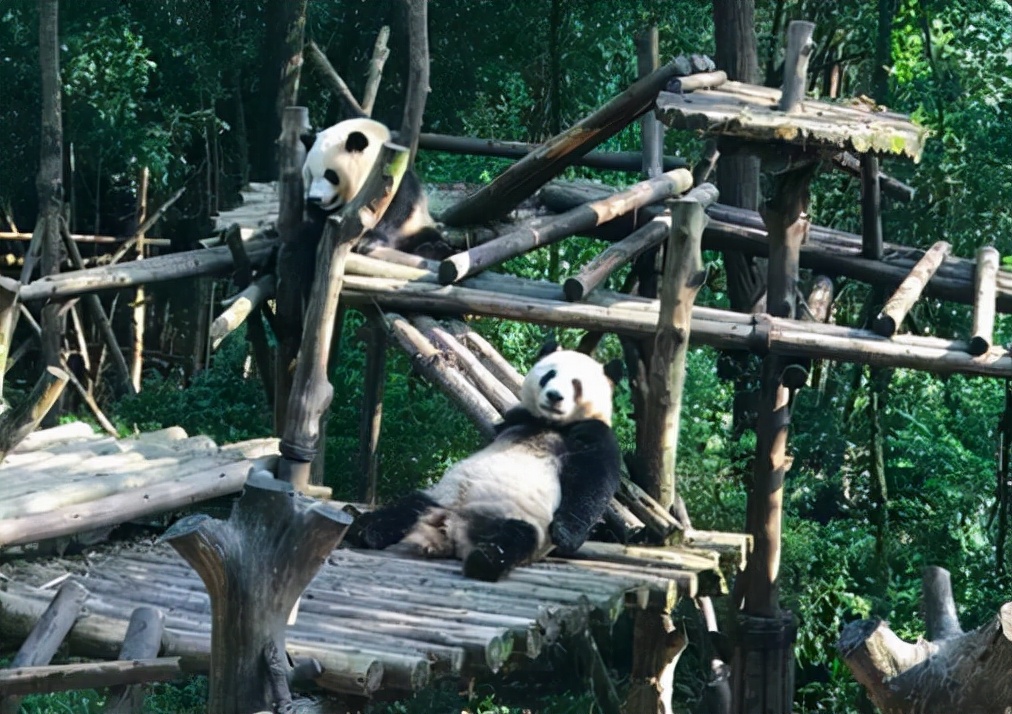 成都租车西藏异地还车,成都租车平台哪个便宜靠谱