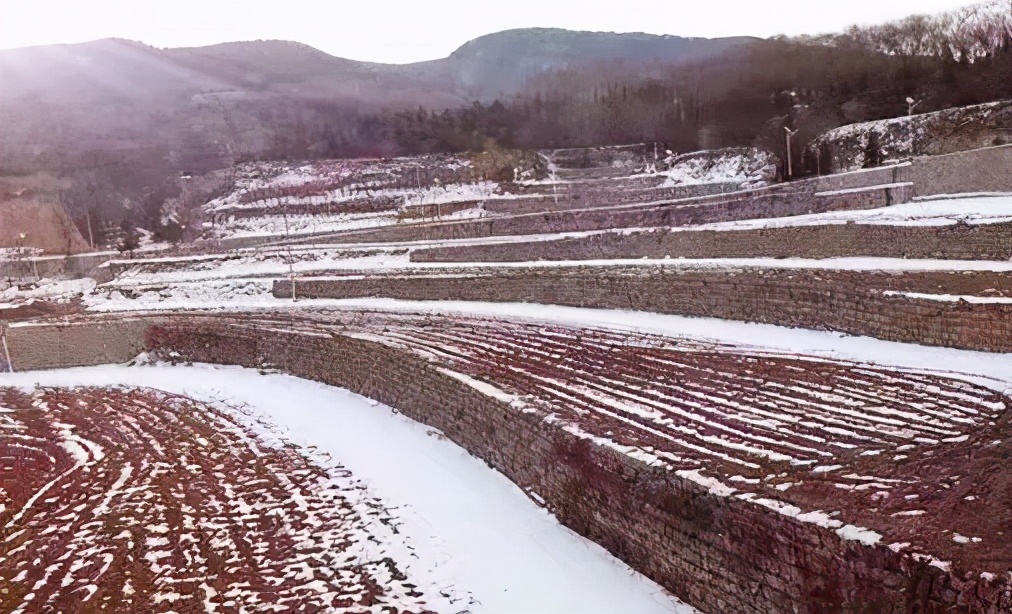 这个夏天非同寻常作文600字,关于夏季的原创散文