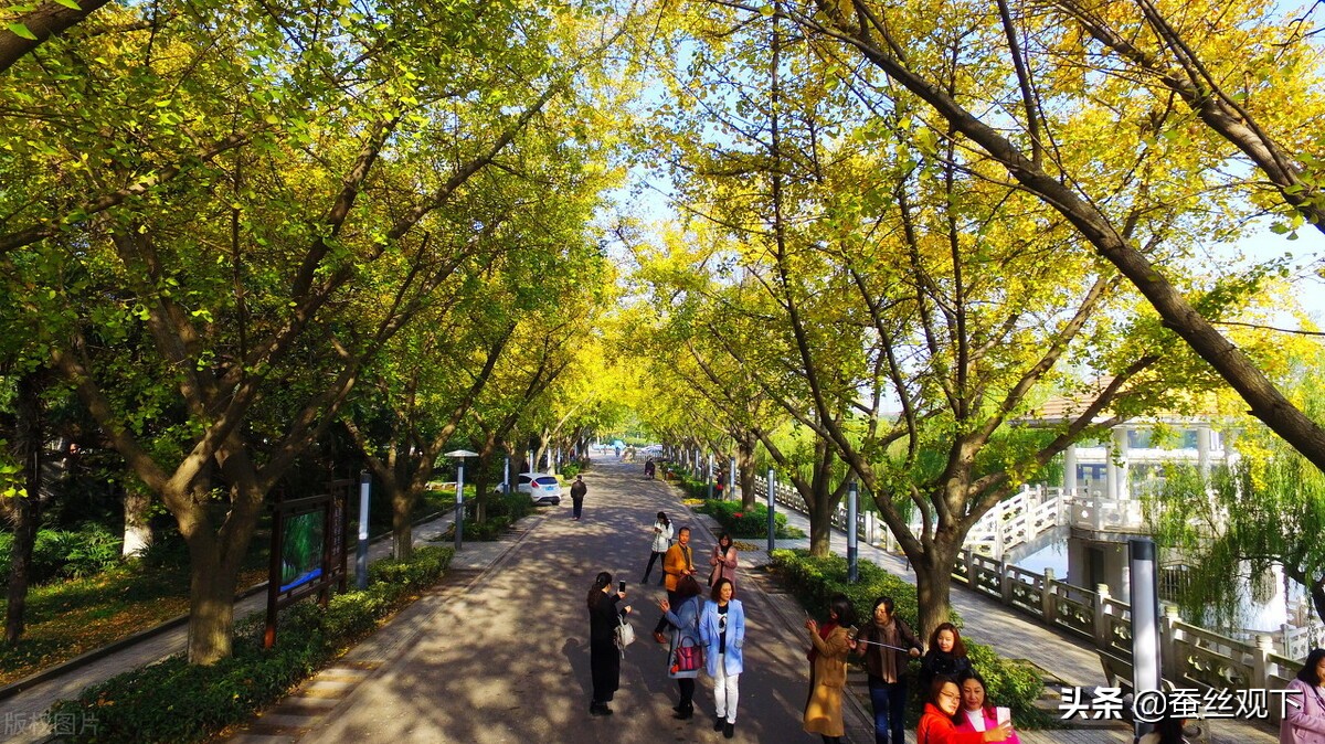 扬州是千年繁华的城市,扬州一座曾经繁华与沧桑的名城