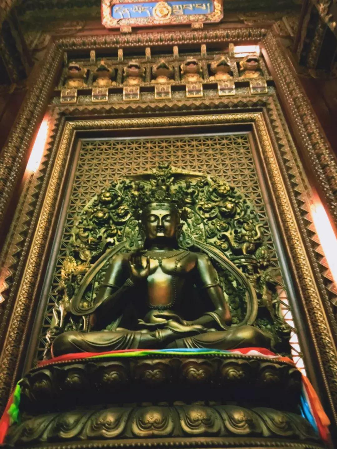 随处皆祥云诸佛现全身手机全景角度下的灵山大佛