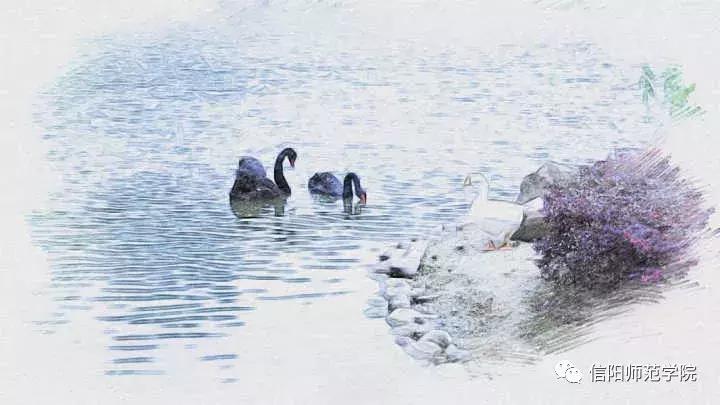 信阳师范学院写生作品,信阳师院高清图片