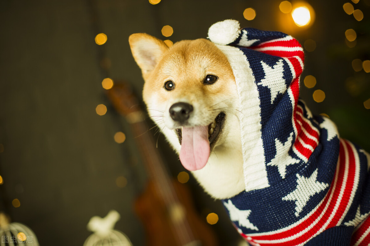 宠物市场越来越大，安迪苏净利润增长达36.2%，它的实力如何？