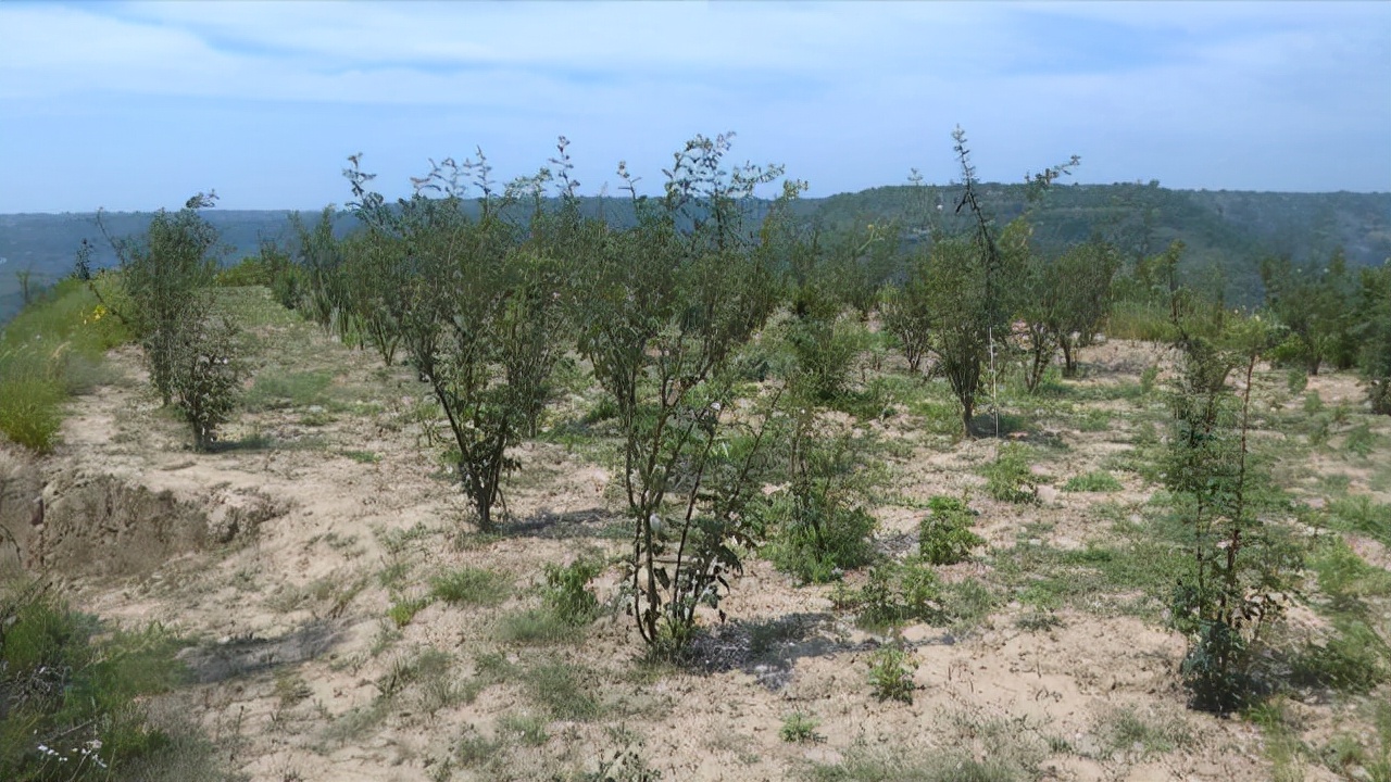 奋斗百年路启航新征程简介,奋斗百年路启航新征程是什么