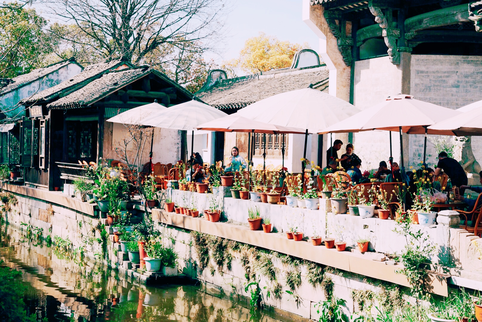 无锡哪里养老最好,扬州和无锡哪个空气好可养老