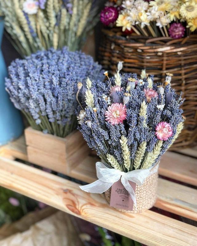 【ROSECASSOU花语笔记】薰衣草