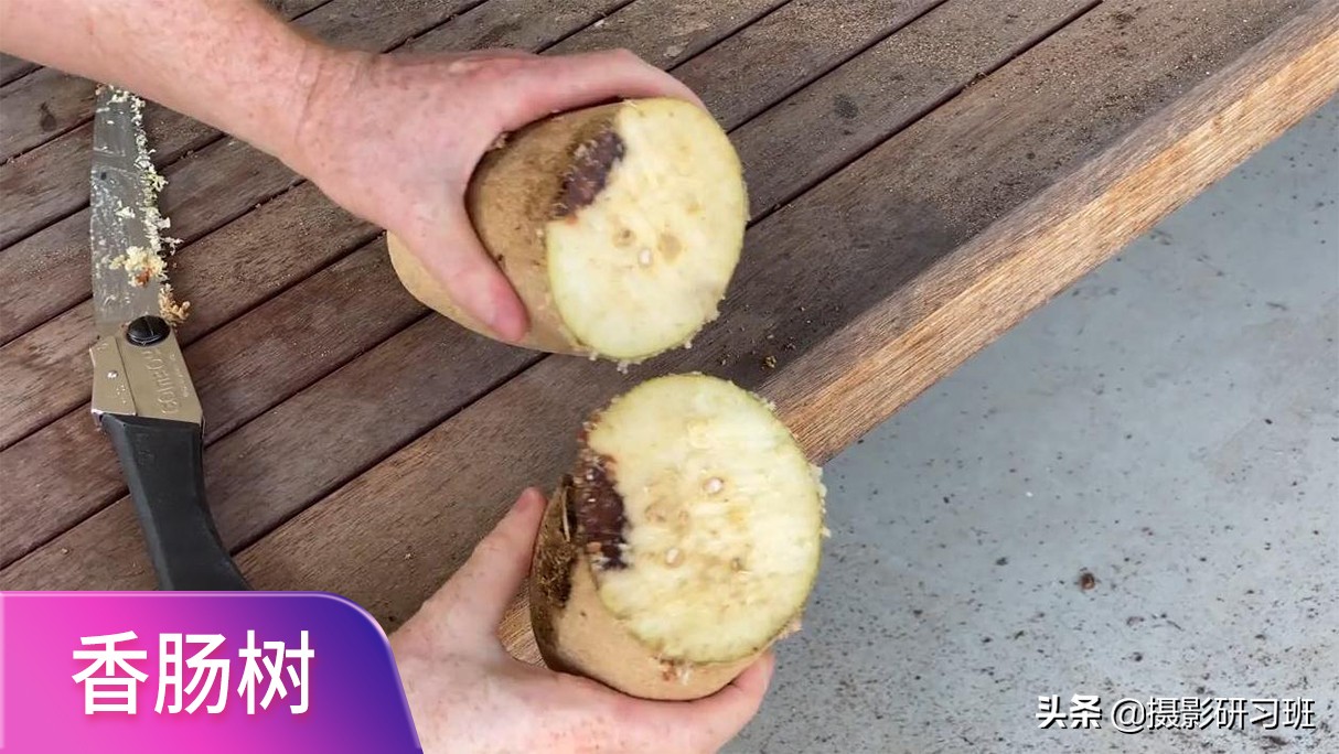 9种罕见的奇特水果,世上罕见的四种水果您见过吗