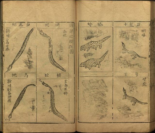 李时珍本草纲目书目录,李时珍本草纲目下卷