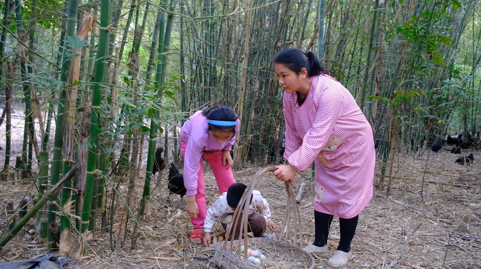 卖完公鸡留母鸡生蛋,不按斤按盒卖70-100块,居然收入千万