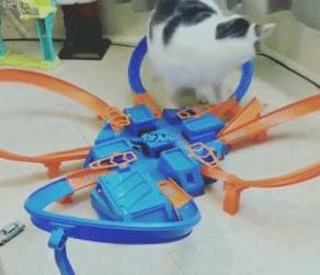 超级搞笑gif图,超好笑gif图