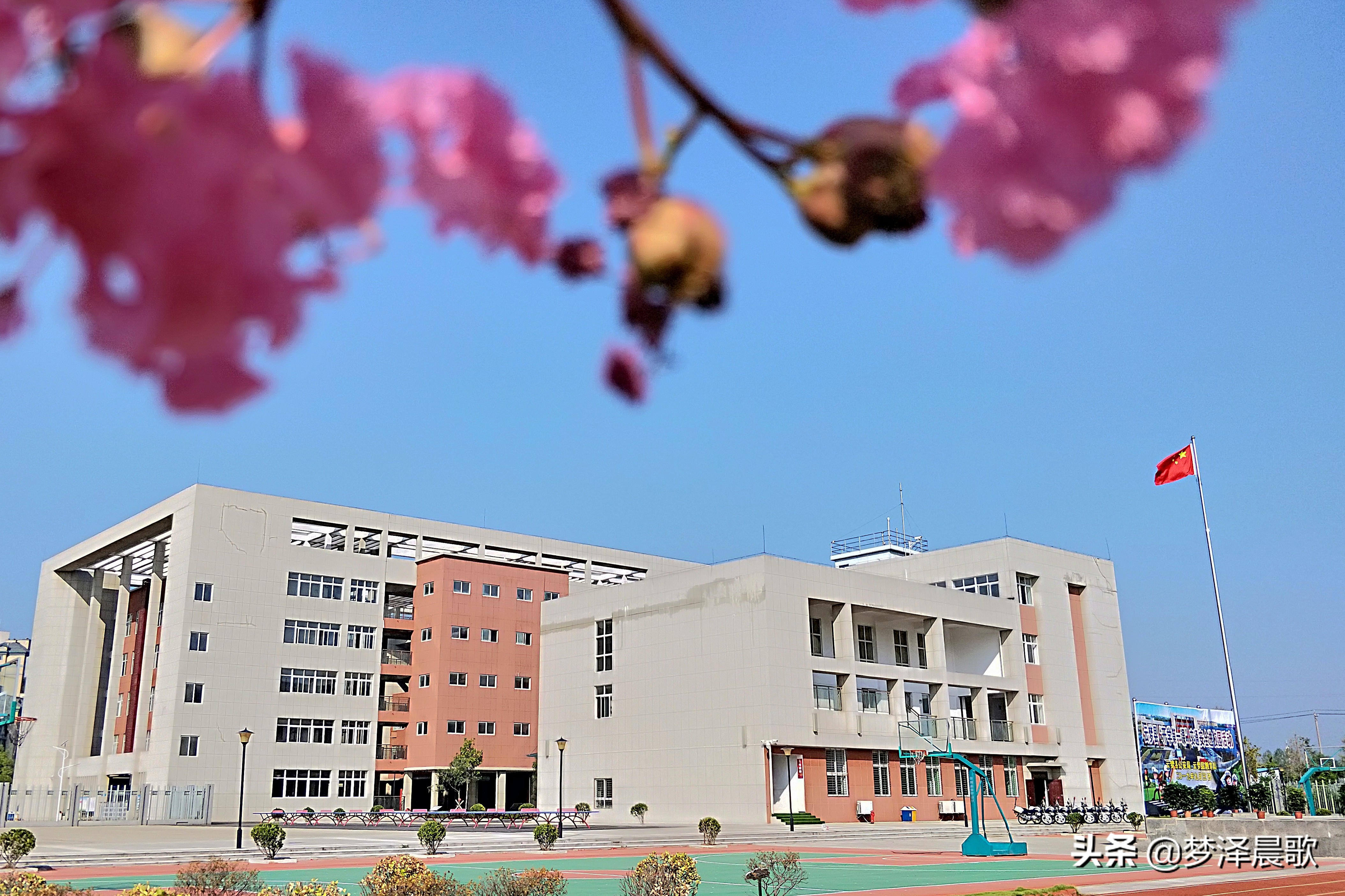 弘扬传统文化打造书香校园图片,传承红色基因创建绿美校园