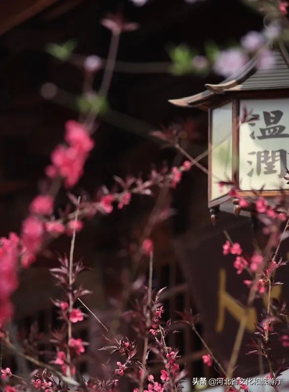 河北一日游温泉推荐,一日游推荐河北周边冬天