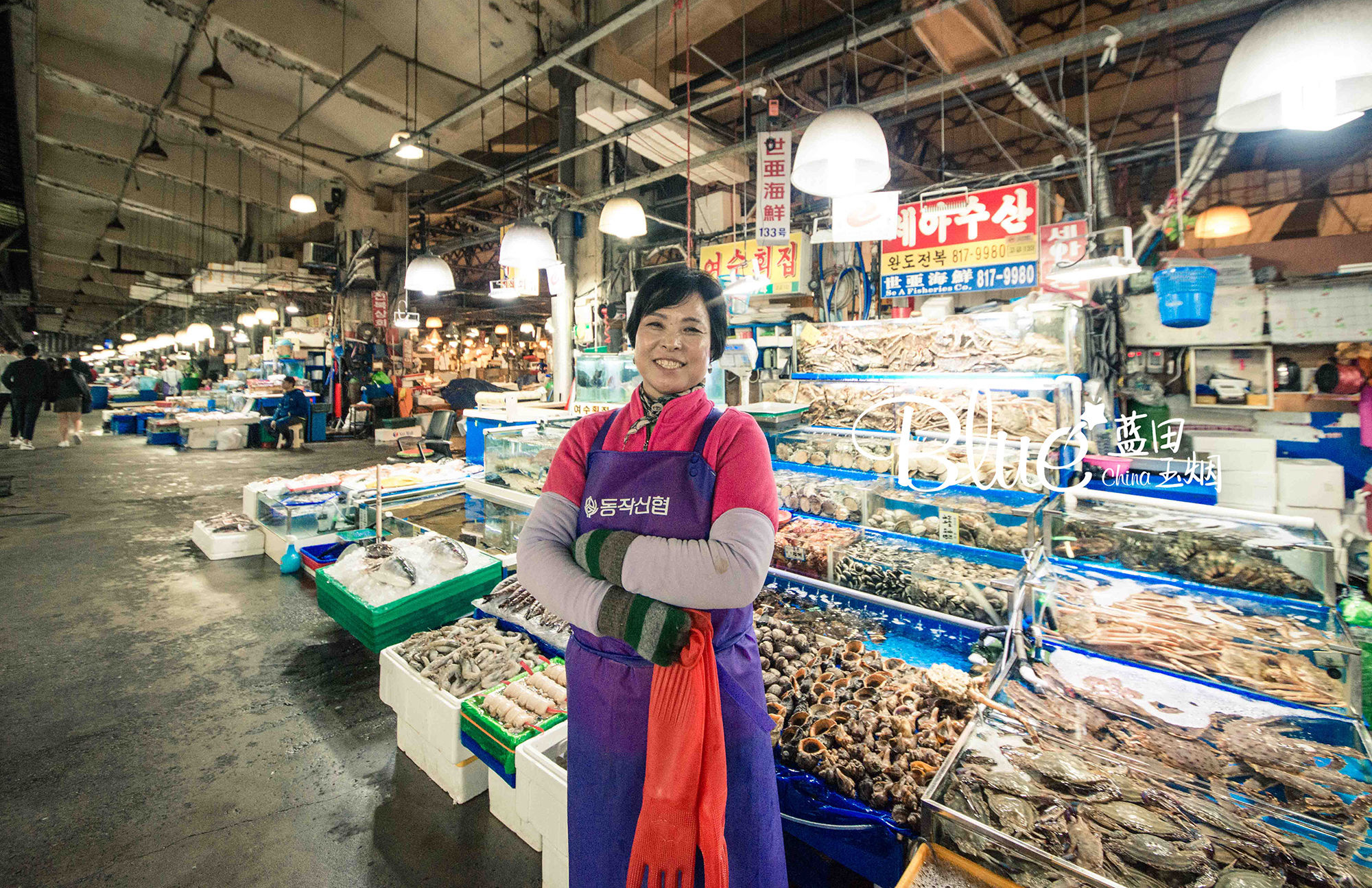 韩国人眼中的首尔海鲜市场,首尔最大的海鲜市场
