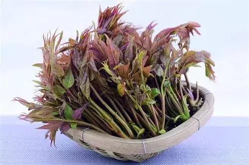 十大适合目前农村创业的项目,4个适合农村创业好路子