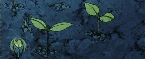 适合清扬的樱花洗发水,明星都在推荐洗发水止痒控油