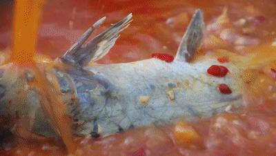 泡椒鱼最鲜辣的做法,太馋了麻辣鱼干