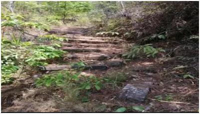 茶马古道全集版,茶马古道下集